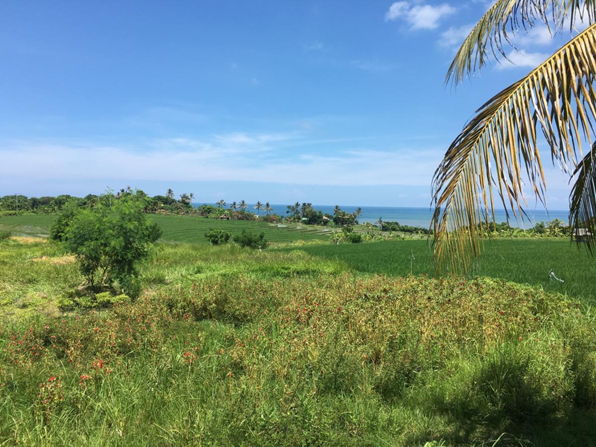 Exotica Bali Villa Canggu Buitenkant foto